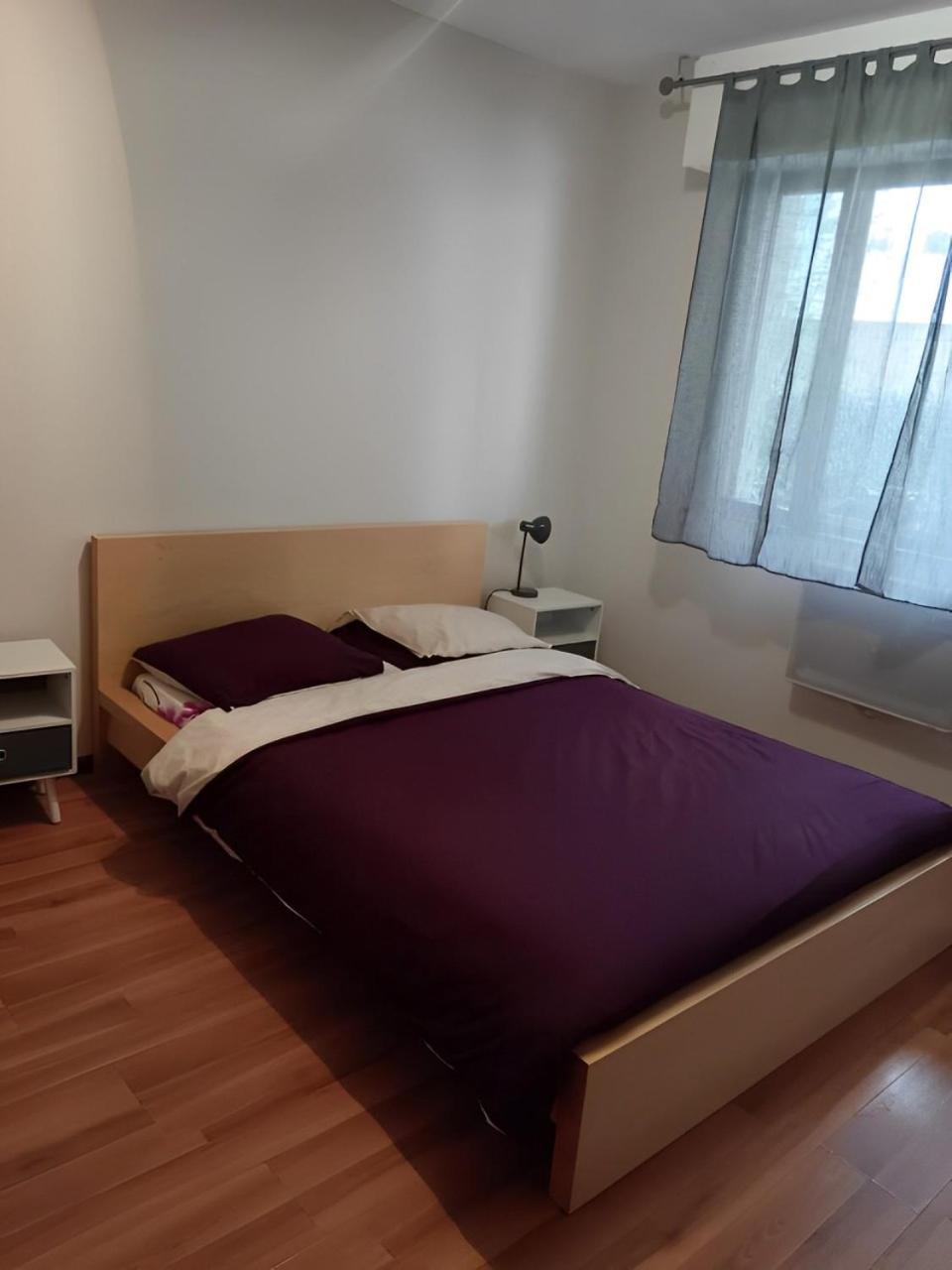 Appartement Cosy A שטרסבורג מראה חיצוני תמונה